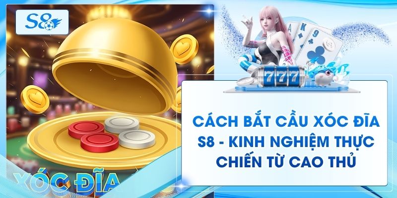 Cách Bắt Cầu Xóc Đĩa S8 - Kinh Nghiệm Thực Chiến Từ Cao Thủ
