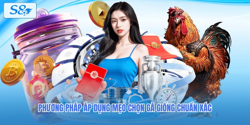 Phương pháp áp dụng mẹo chọn gà giống chuẩn xác