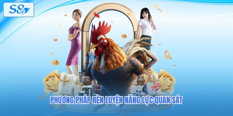 Phương pháp rèn luyện năng lực quan sát