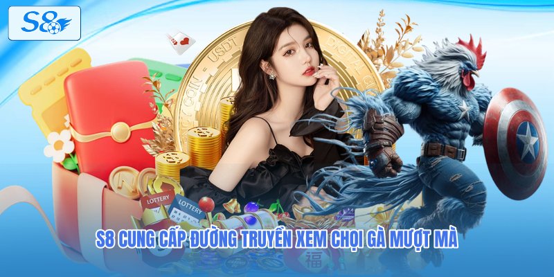 S8 cung cấp đường truyền xem chọi gà mượt mà
