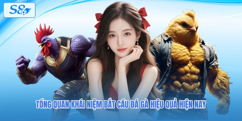 Tổng quan khái niệm bắt cầu đá gà hiệu quả hiện nay